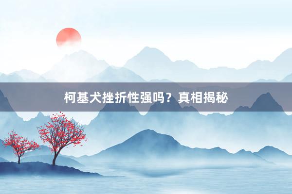 柯基犬挫折性强吗?真相揭秘
